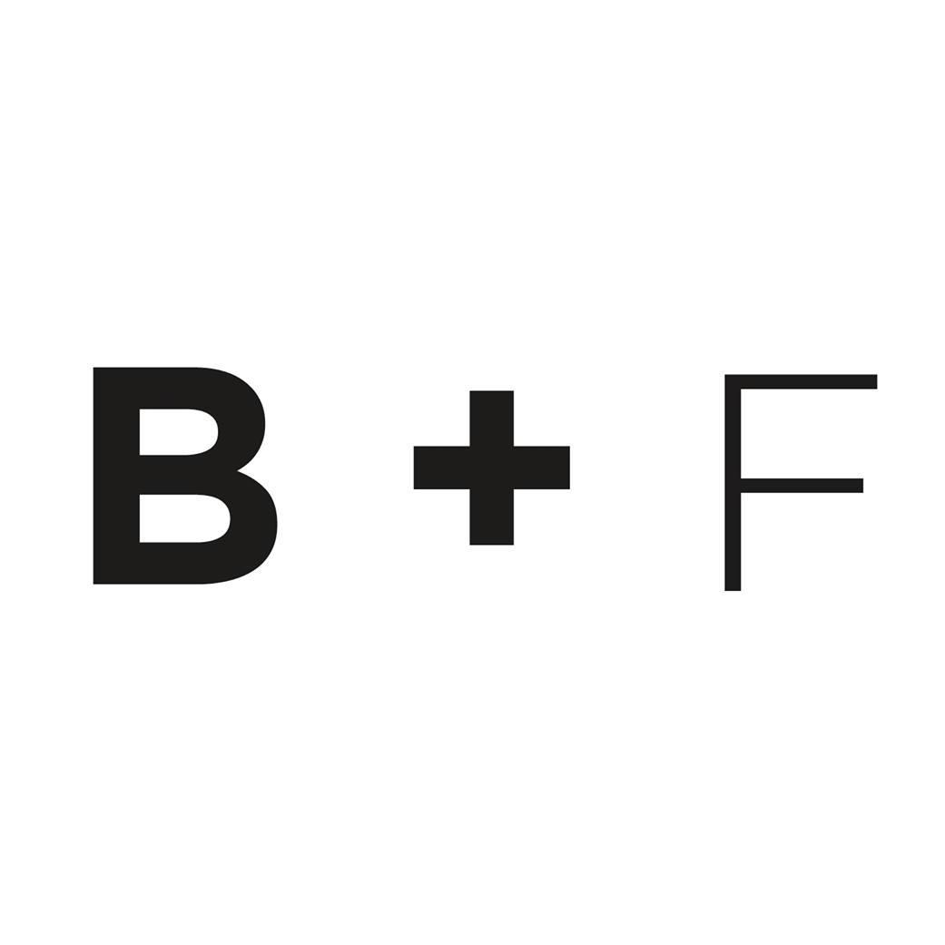 birchandfog